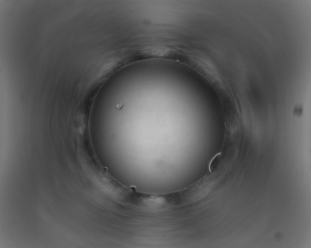 X0000092310374200709281351