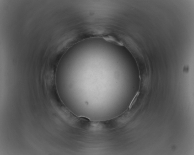 X0000092310376200709281351