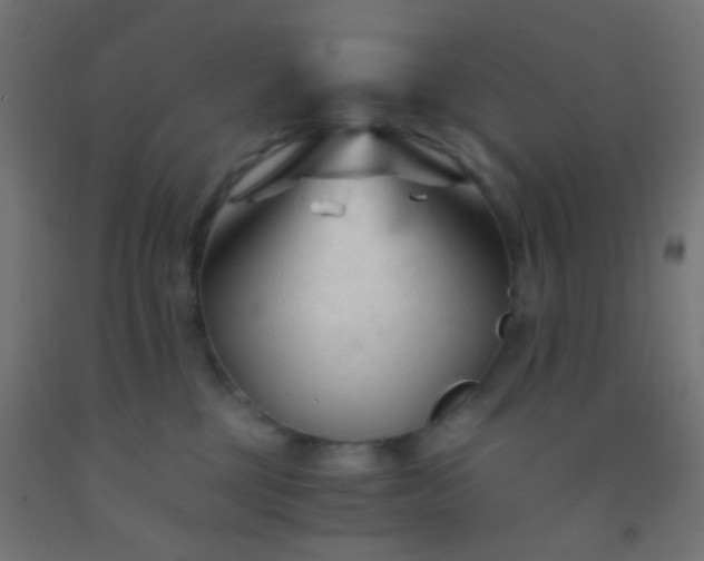 X0000092310377200709281351