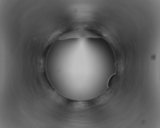 X0000092310378200709281351
