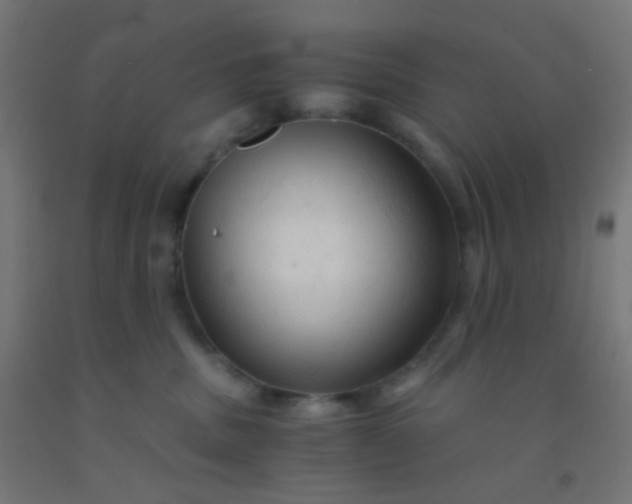 X0000092310379200709281351