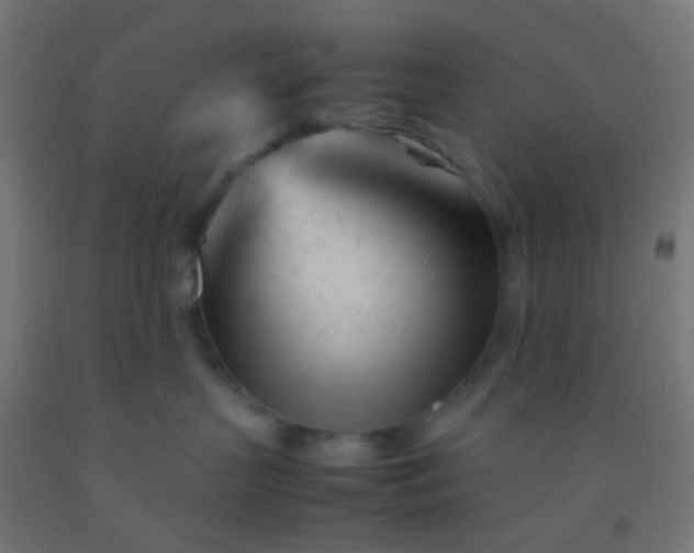 X0000092310383200709281351