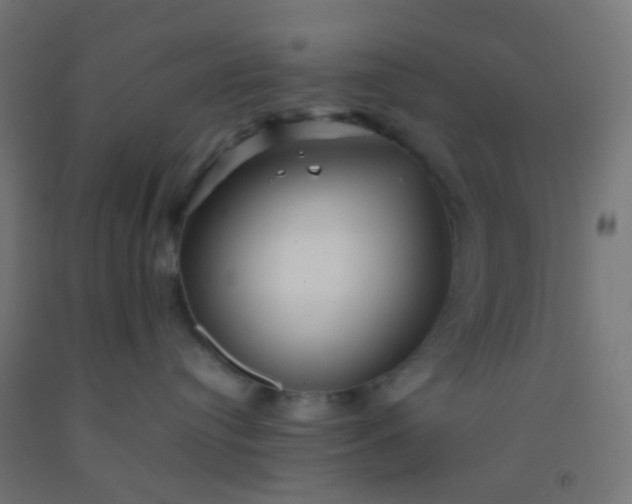 X0000092310384200709281351