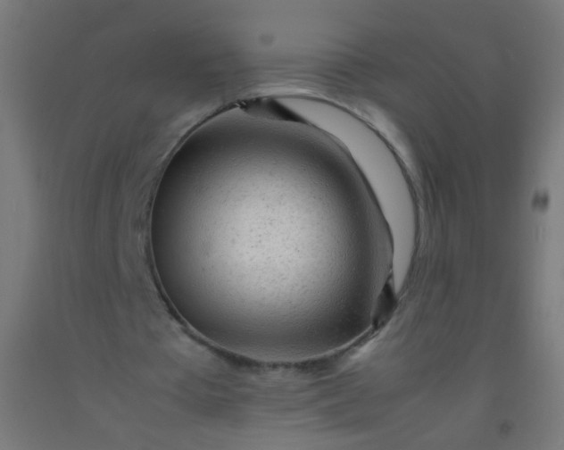 X0000092310385200709281350