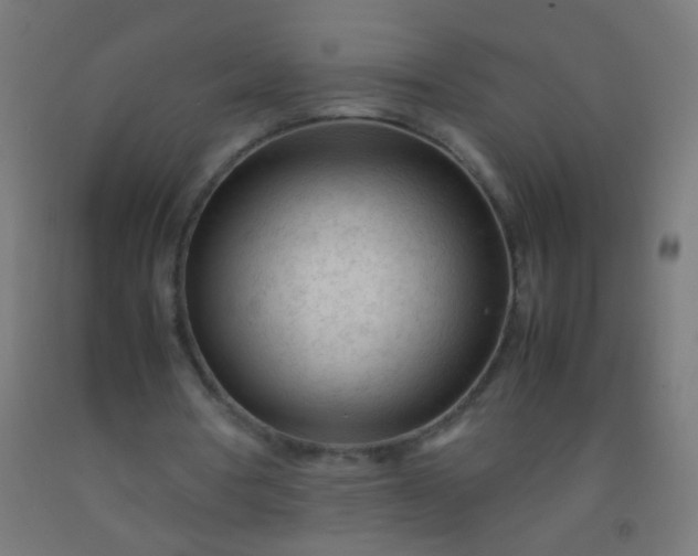 X0000092310386200709281350