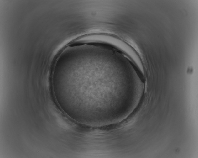 X0000092310387200709281350