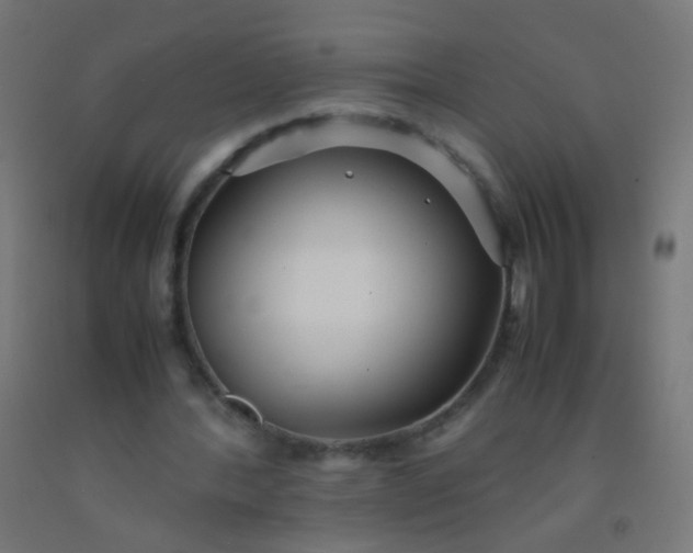 X0000092310388200709281350