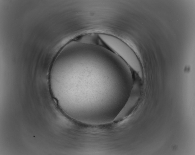 X0000092310389200709281350