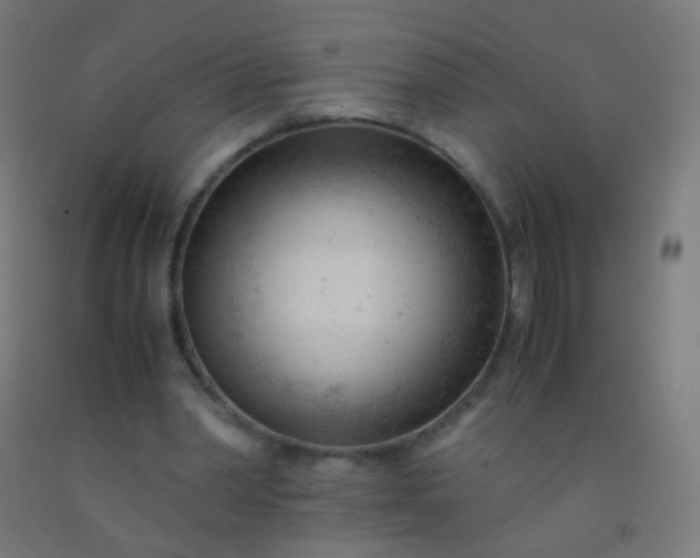 X0000092310390200709281350