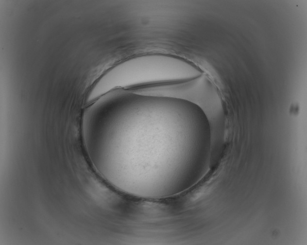X0000092310393200709281350