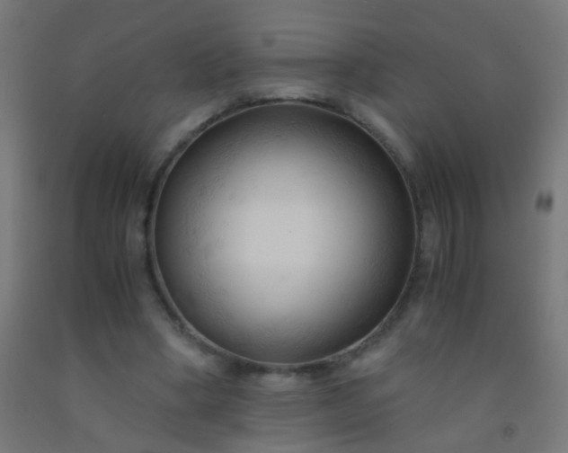X0000092310394200709281350