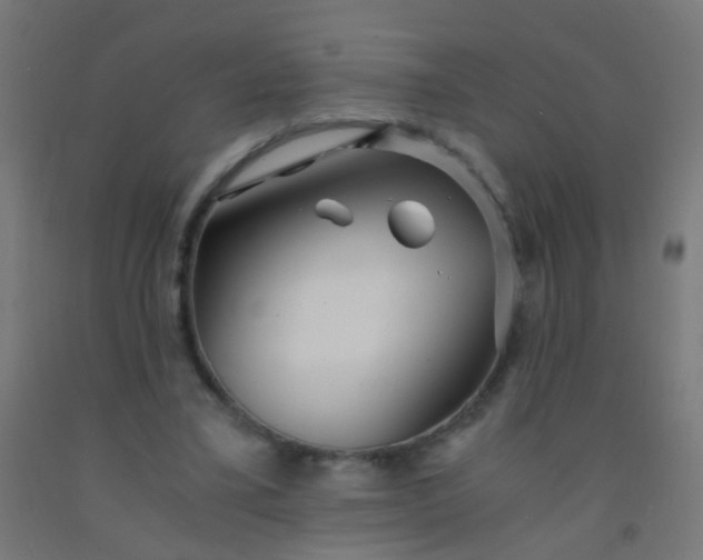 X0000092310395200709281350