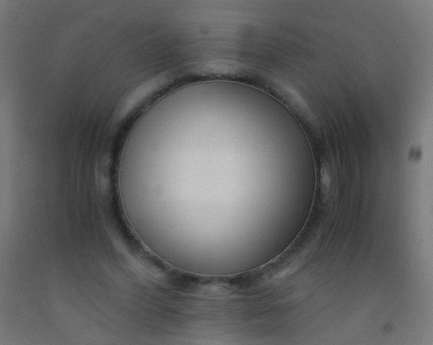 X0000092310396200709281350