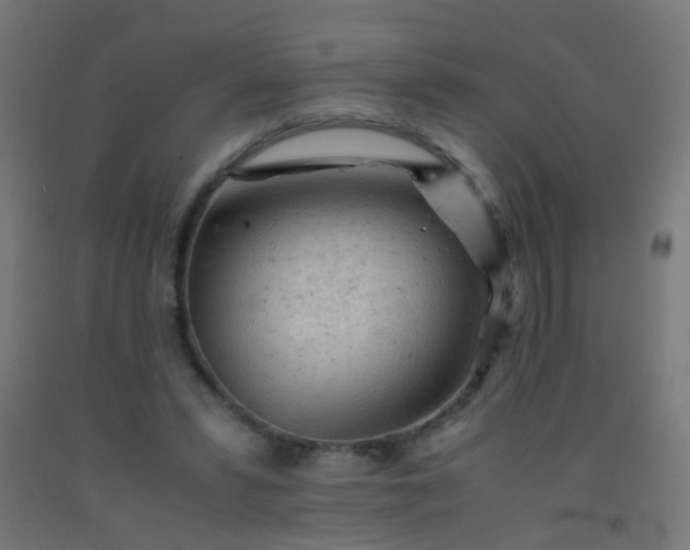 X0000092310399200709281350