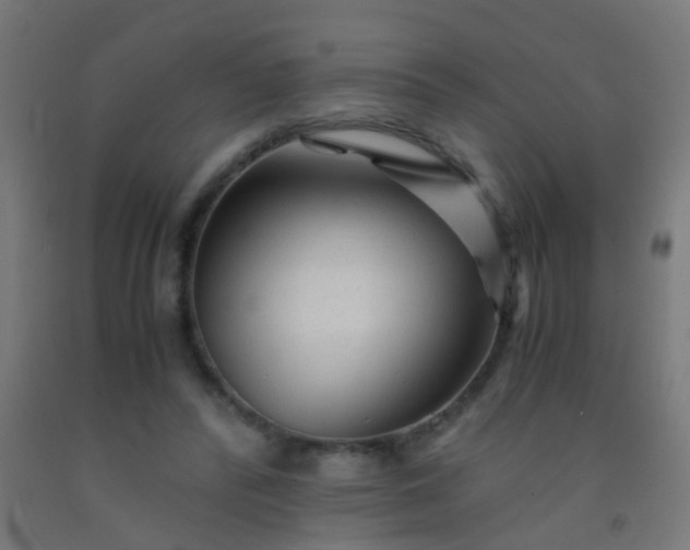 X0000092310400200709281350