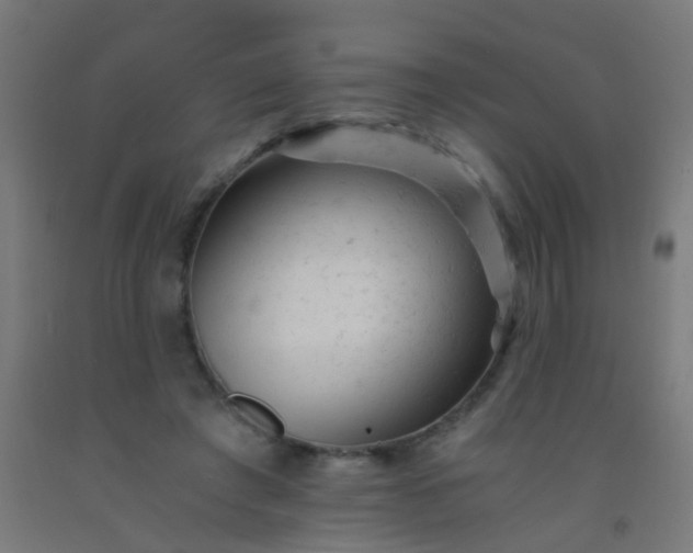 X0000092310401200709281350