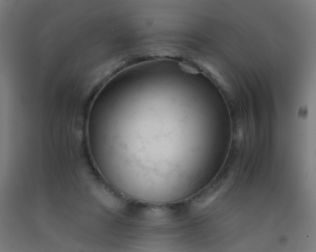 X0000092310402200709281350