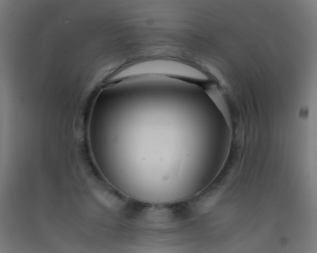 X0000092310403200709281350