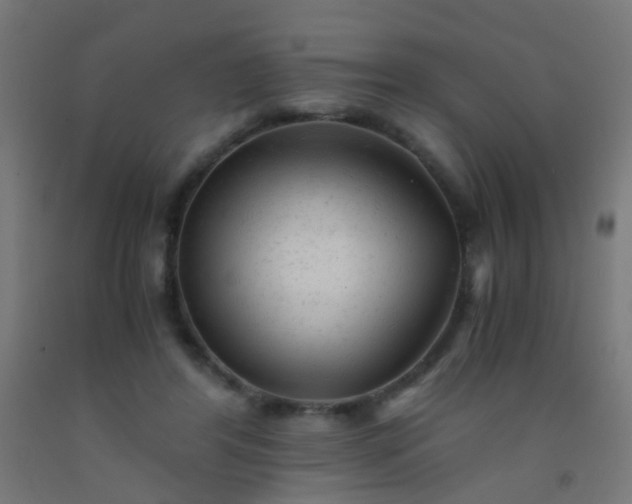 X0000092310404200709281350