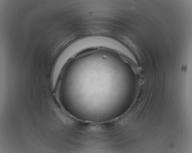 X0000092310405200709281350