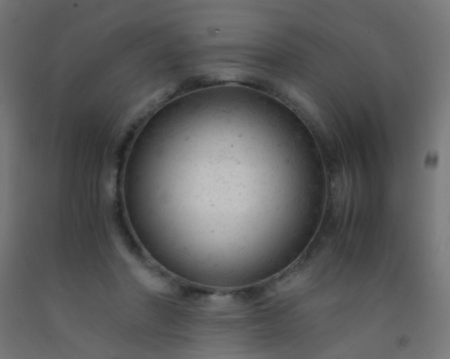 X0000092310406200709281350