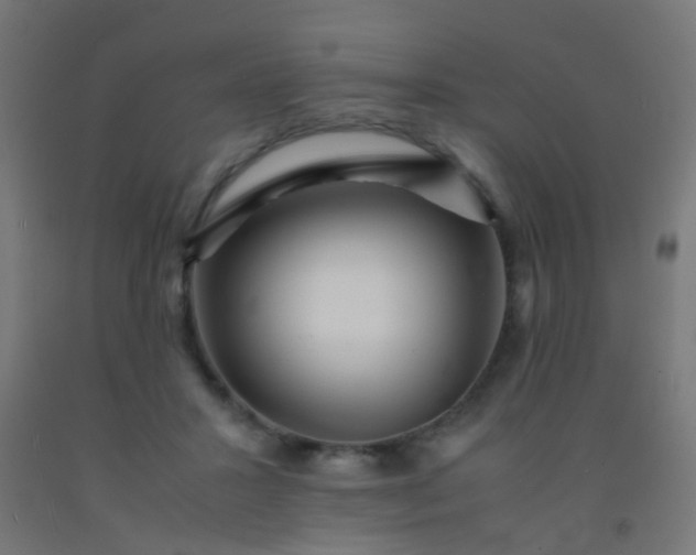 X0000092310407200709281350