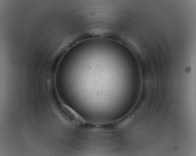 X0000092310408200709281350