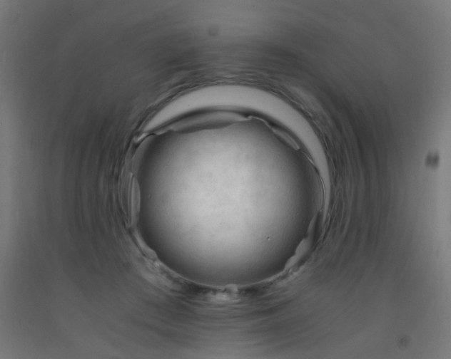 X0000092310409200709281350