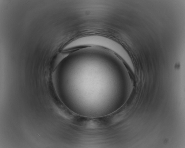 X0000092310412200709281350