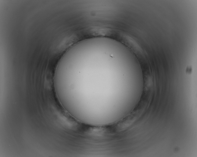 X0000092310414200709281350