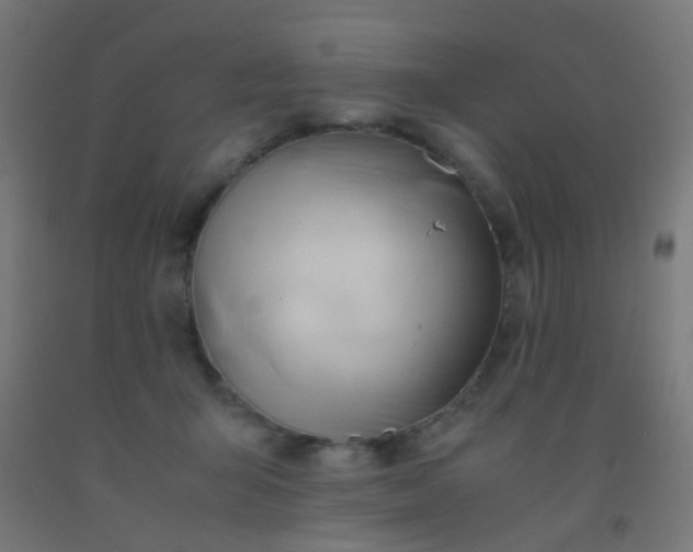 X0000092310415200709281350