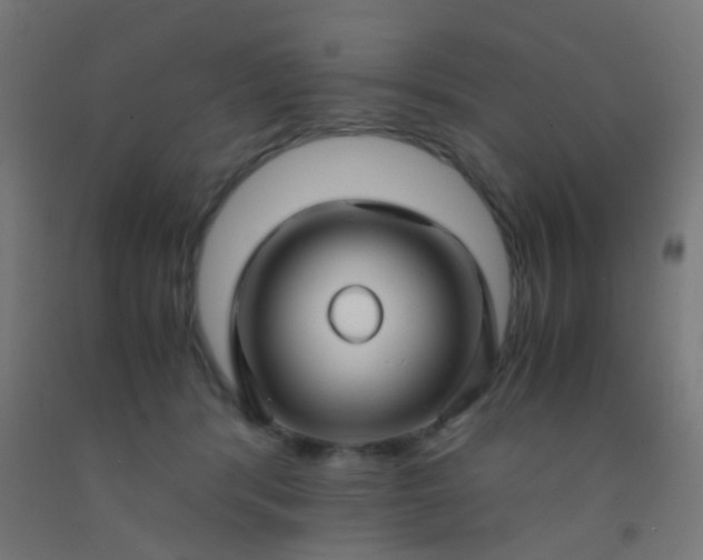 X0000092310416200709281350