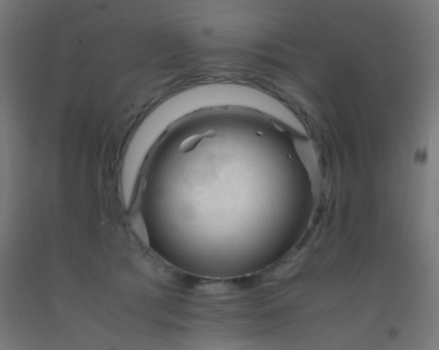 X0000092310417200709281350
