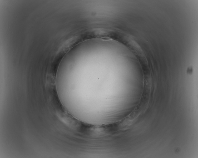 X0000092310419200709281350