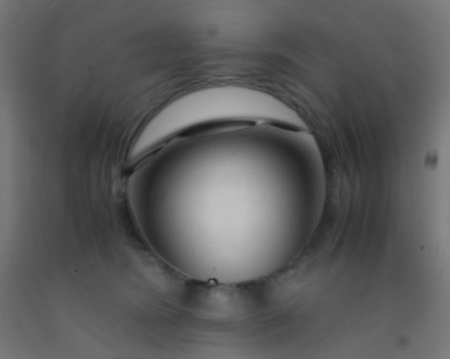 X0000092310420200709281350