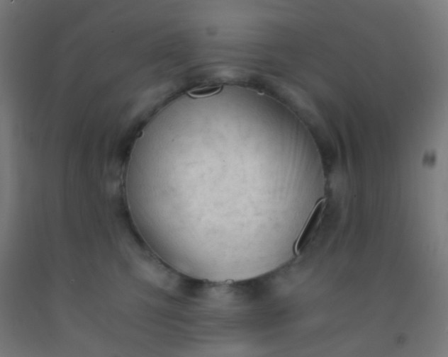 X0000092310423200709281350