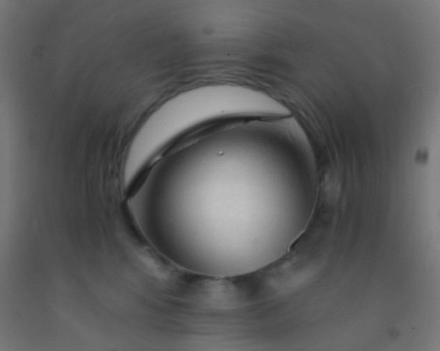 X0000092310424200709281350