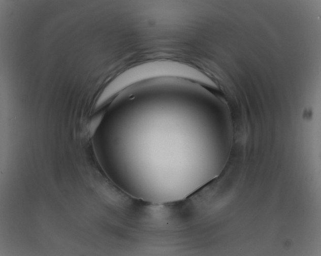 X0000092310425200709281350