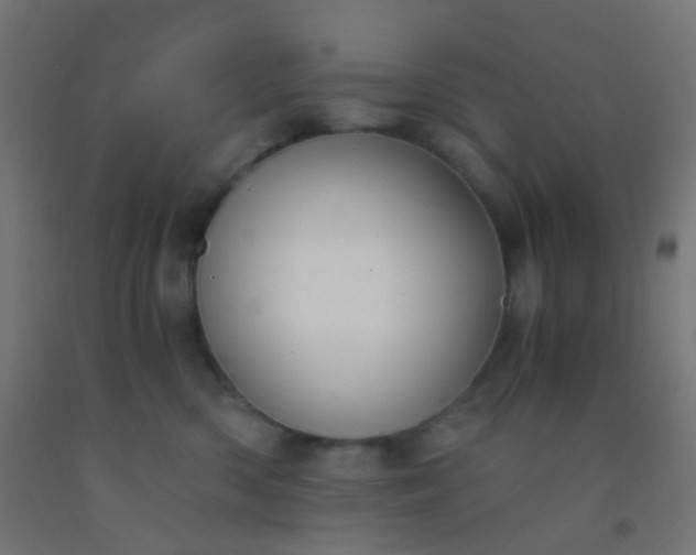 X0000092310426200709281350