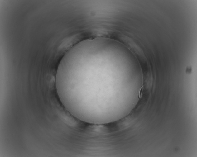 X0000092310427200709281350
