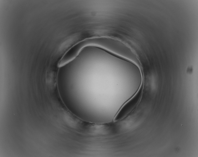 X0000092310428200709281350