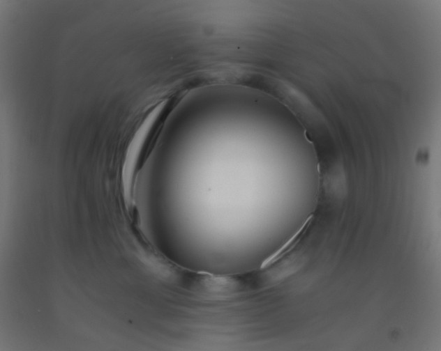 X0000092310429200709281350