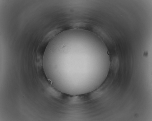 X0000092310430200709281350