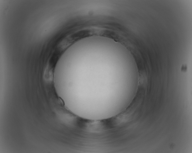 X0000092310431200709281350