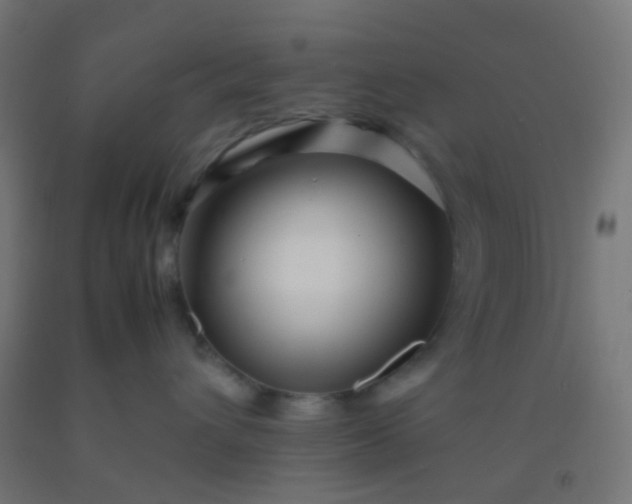 X0000092310432200709281350