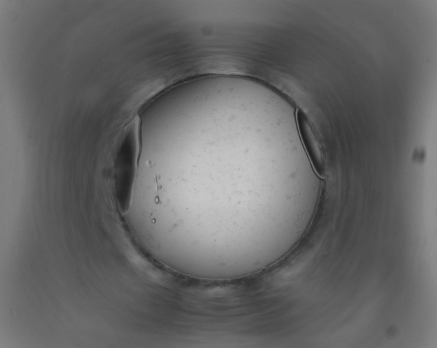 X0000092310433200709281349