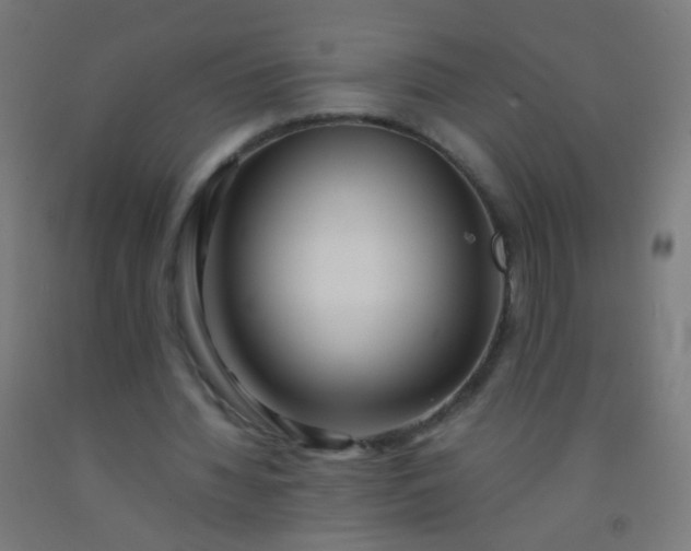 X0000092310436200709281349