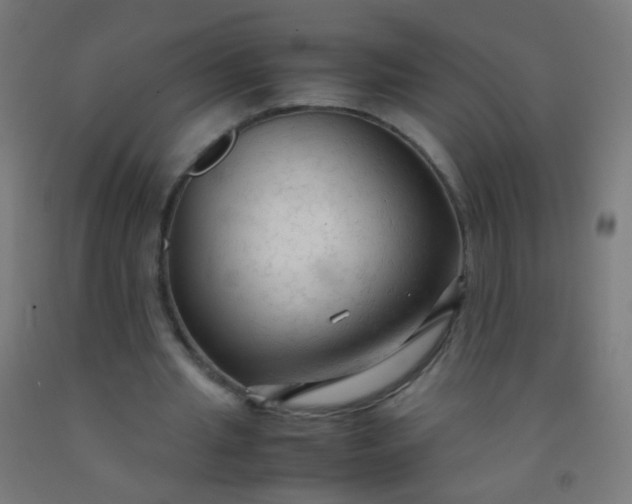 X0000092310437200709281349