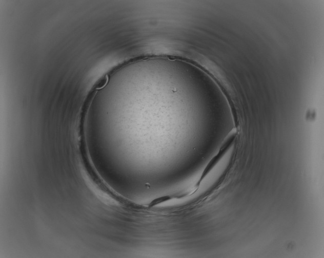 X0000092310438200709281349