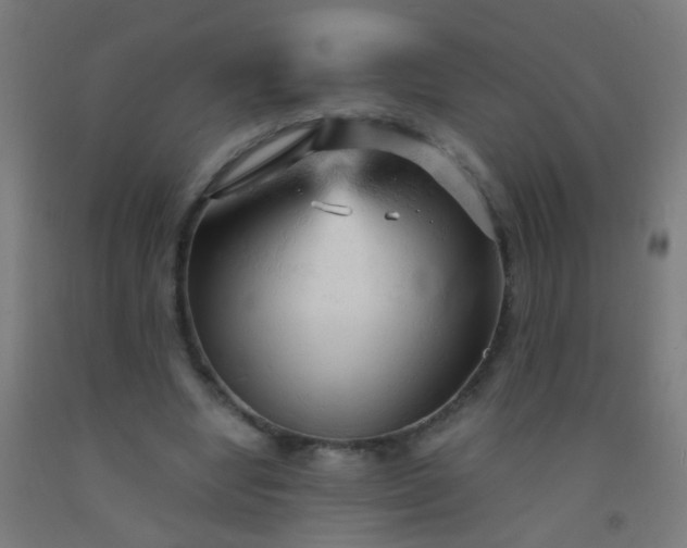 X0000092310442200709281349